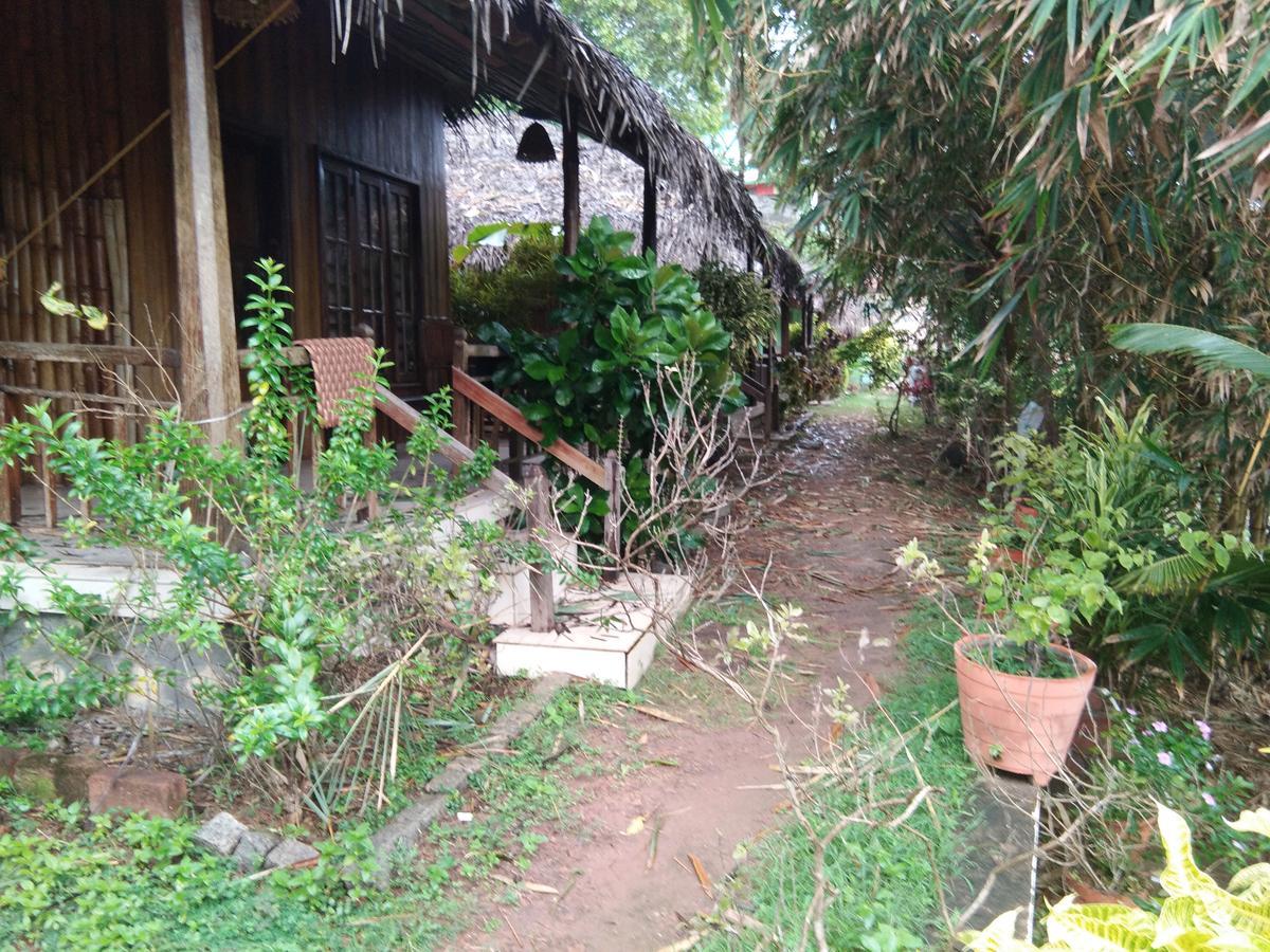 Natural Cottage Varkala Kültér fotó